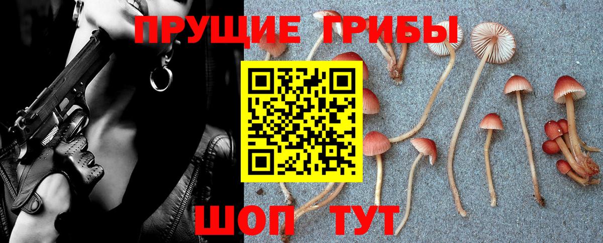 Галлюциногенные грибы Psilocybine cubensis Чайковский
