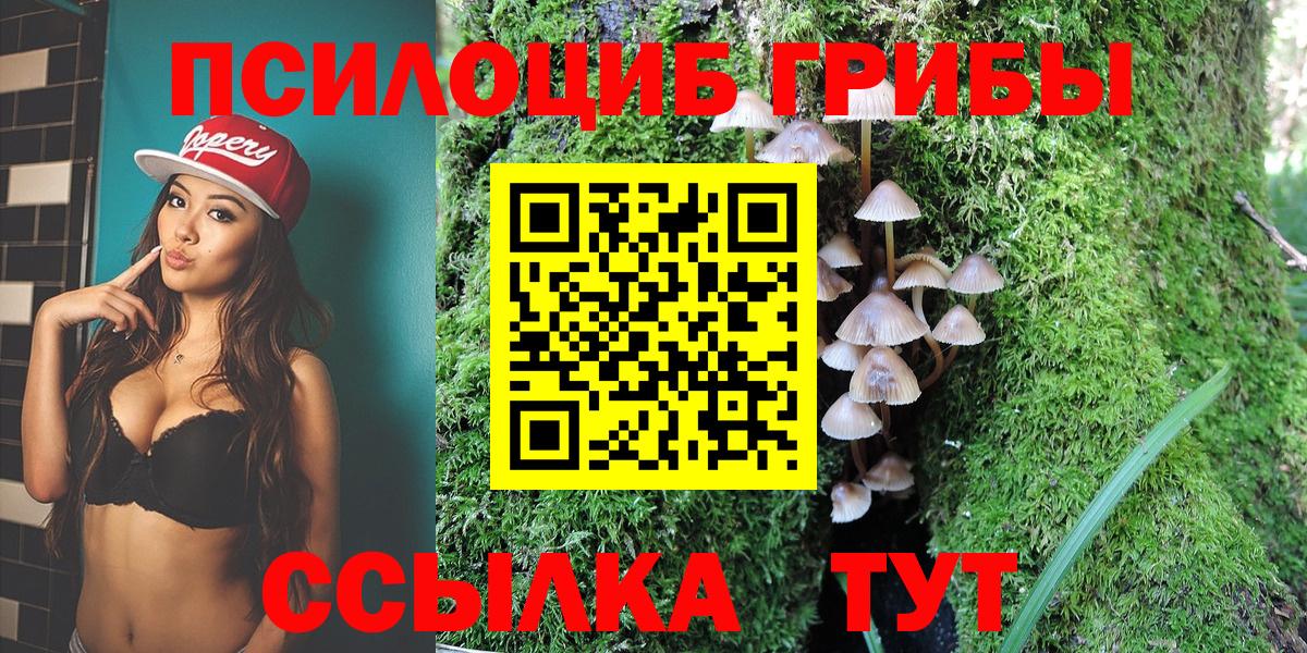 Чайковский  Галлюциногенные грибы прущие грибы  Вход с VPN 